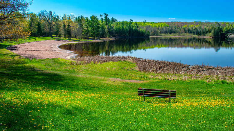 View of Interfalls Lake from picnic area