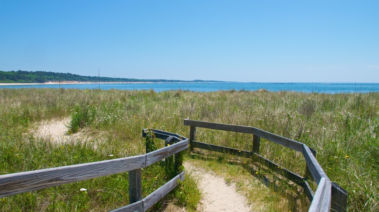 Kiptopeke State Park trail