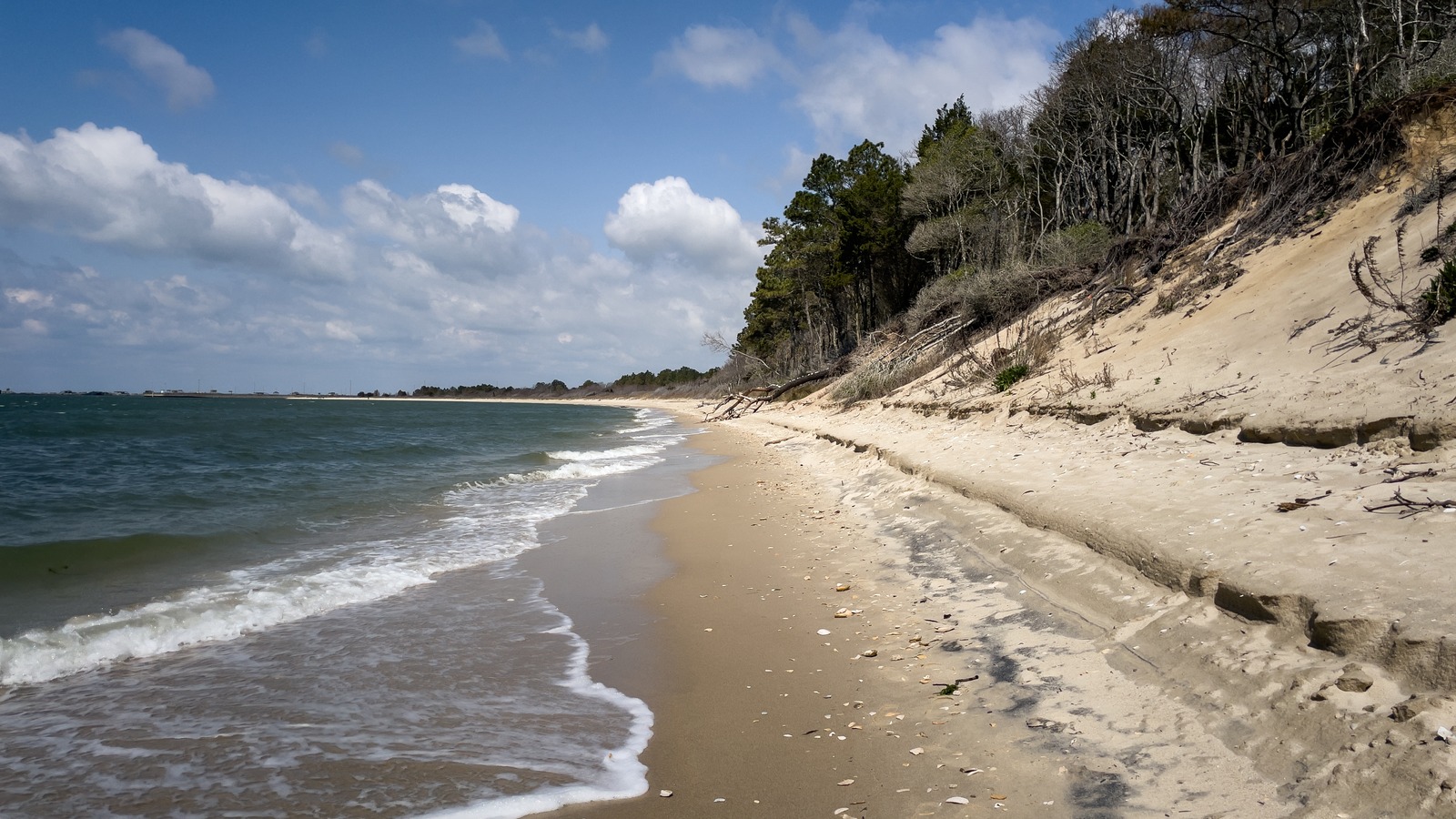 This Underrated State Park In Virginia Has A Unique And Creepy Secret ...