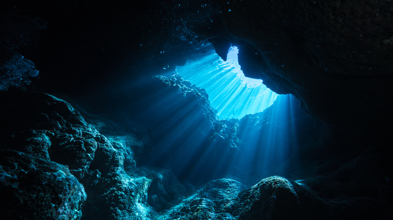 Sunlight at mouth of cave