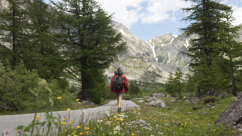 Hiker in Valle d'Aosta forest