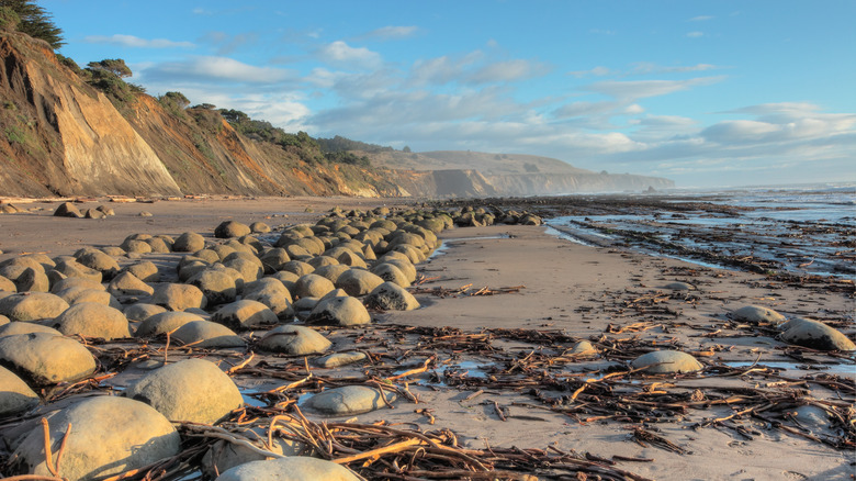 Landscape of Bowling Ball Beach