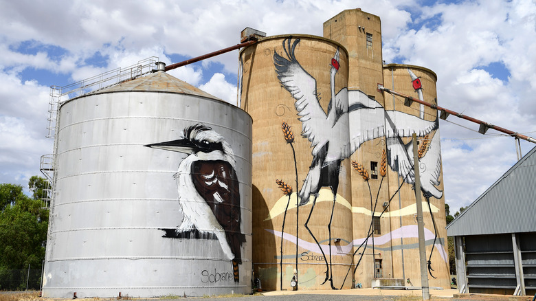 Tungamah Silo Art, Victoria