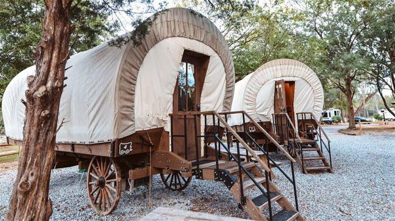 Covered wagon glamping accommodations