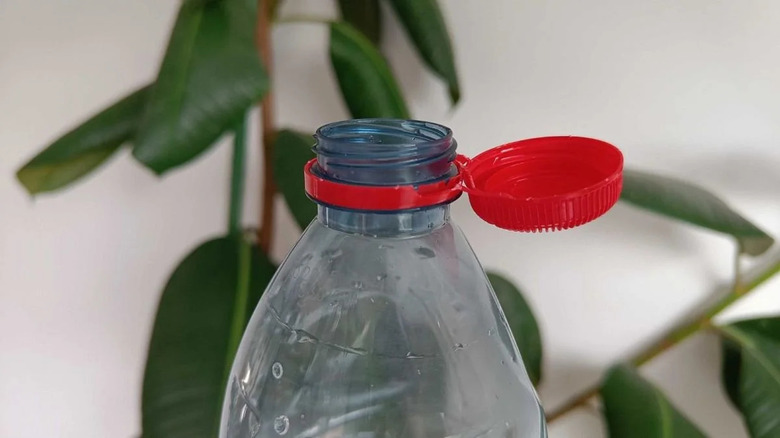 Close-up of the new EU tethered bottle cap