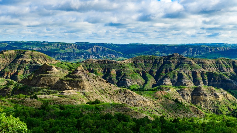 view of North Dakota landscape