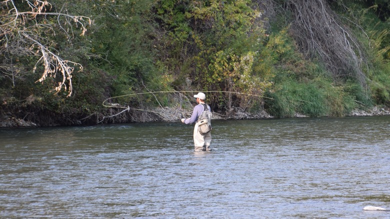 Man wading in river and fishing