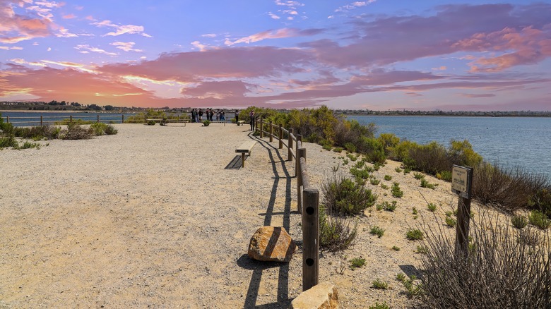 Bolsa Chica Ecological Reserve