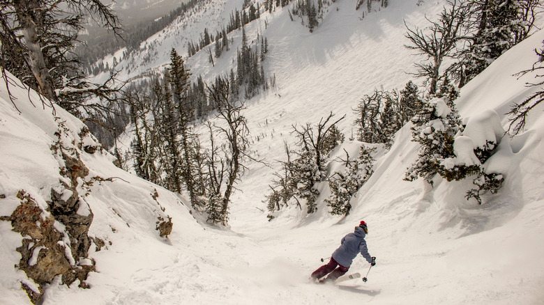 Skier in Bozeman, Montana