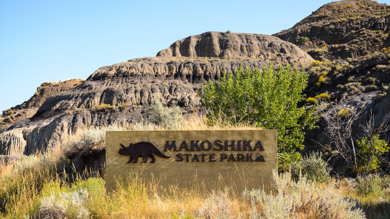 Makoshika State Park sign