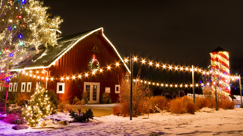 Farm decorated with Christmas lights