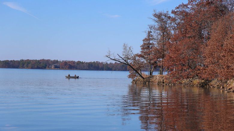 View of Buckhorn State Park's lake