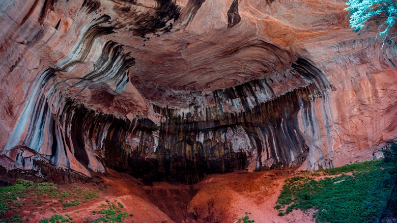 double arch alcove taylor creek