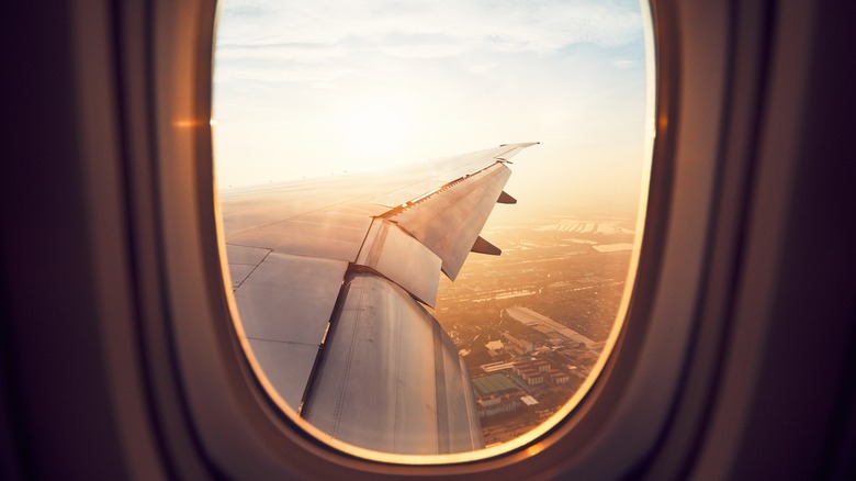 Wing of plane from window