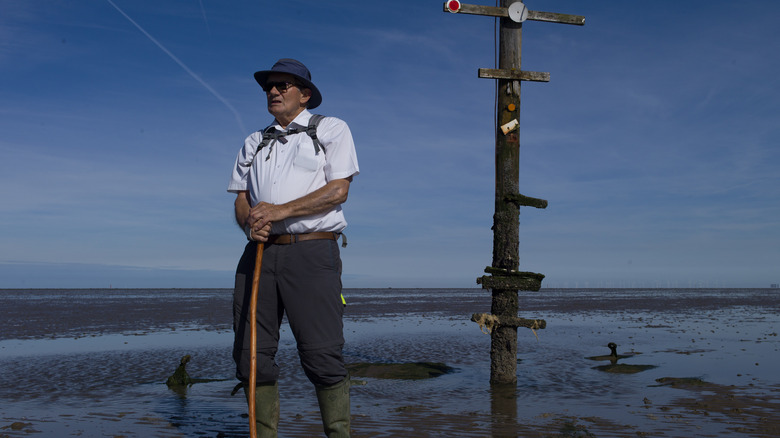 The Broomway Essex guided walk