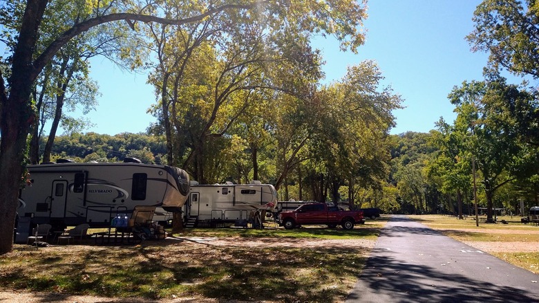 RVs parked at campsite