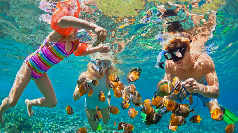 family snorkeling on reef 