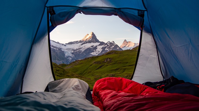 mountain view from inside tent