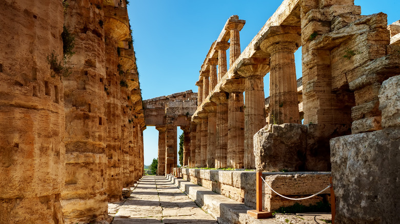 Pillars inside ruins of Paestum