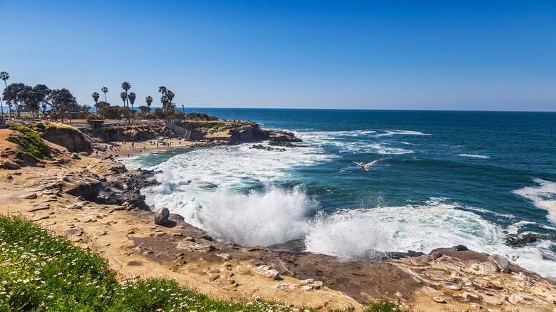 View of La Jolla Cove