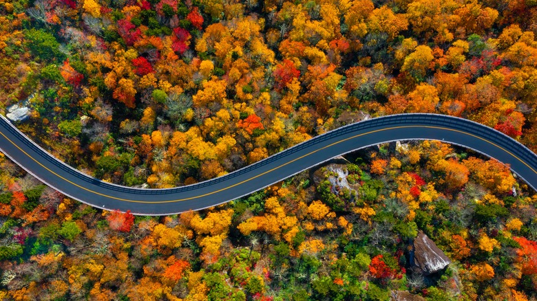 Blue Ridge Parkway in fall