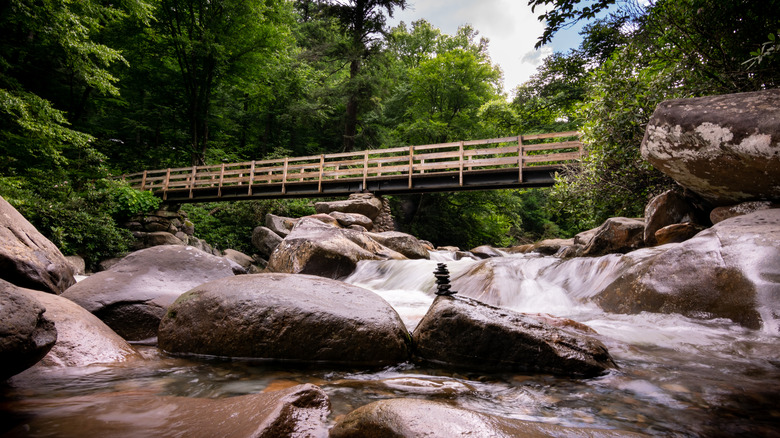 Along the Chimney Tops Trail