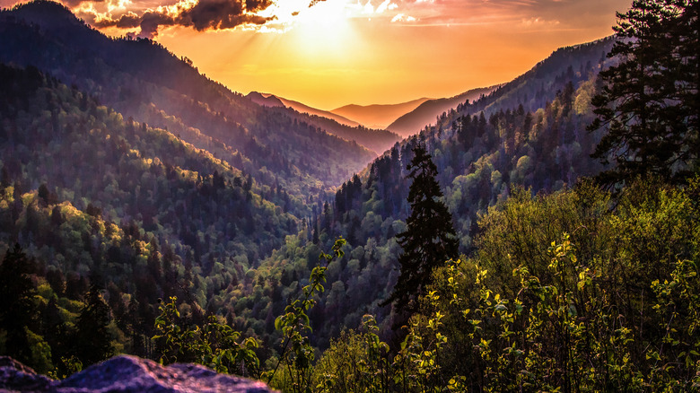 The view from Newfound Gap