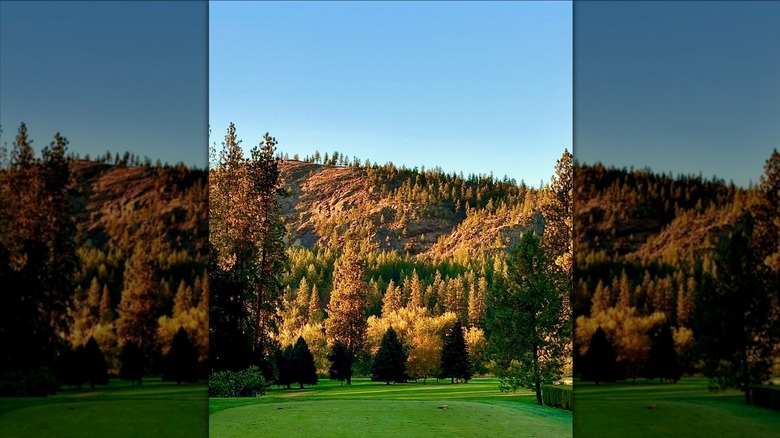 Golf course in Washington