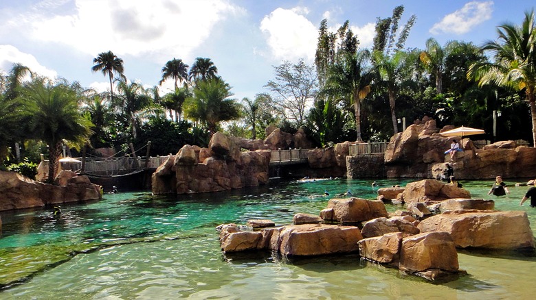 Pool at Discovery Cove