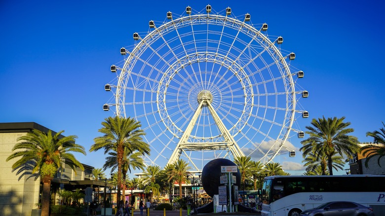 Orlando Eye at ICON Park