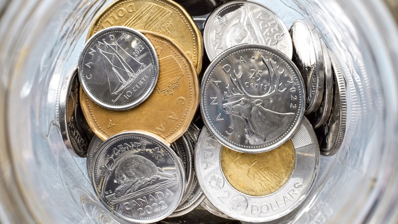 a jar full of Canadian coins