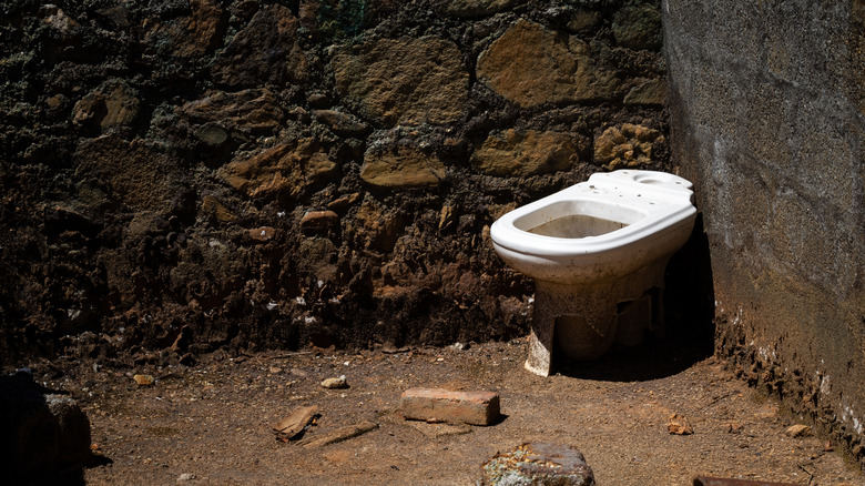 A lonely toilet without a seat