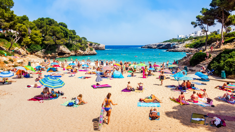 people, towels, and parasols on beach