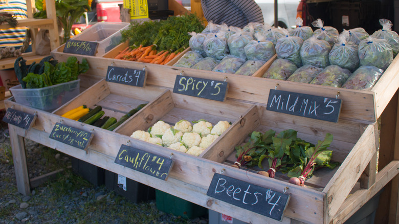 farmers market fresh produce stand in Homer Alaska