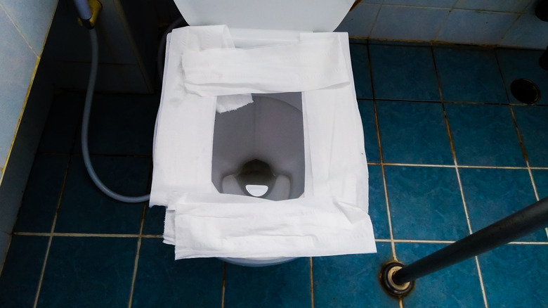 Toilet seat covered with toilet paper