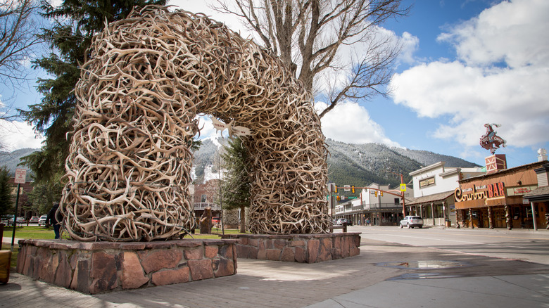 Jackson antler arch