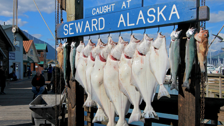 Seward Alaska