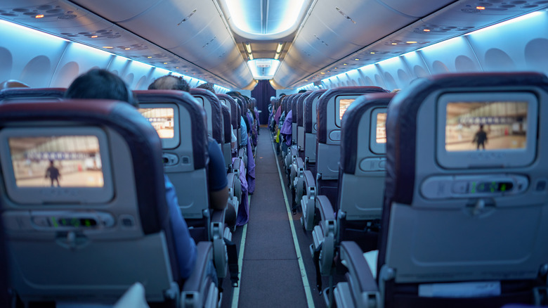 economy airplane seats