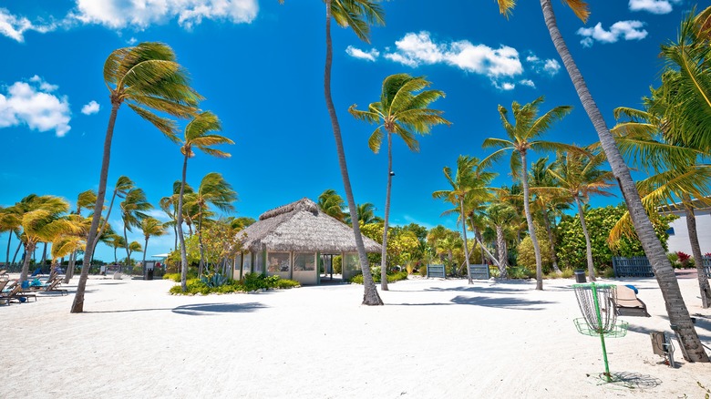 Idyllic beach in Islamorada