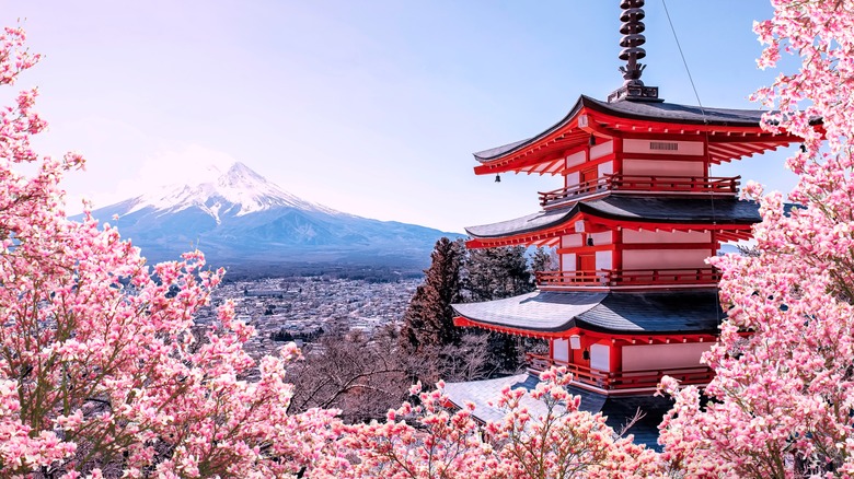 cherry blossoms, temple, and mountain