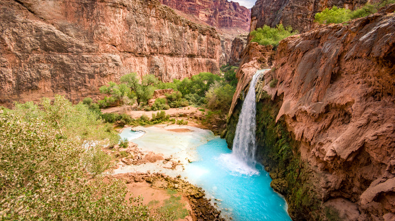 Havasupai Falls oasis in the Grand Canyon