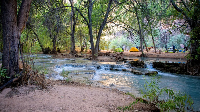 tents creekside at Havasupai Campground