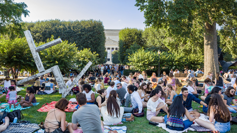 People sitting in on lawn for outdoor concert