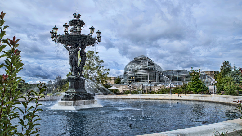 fountain in the Botanic Gardens 