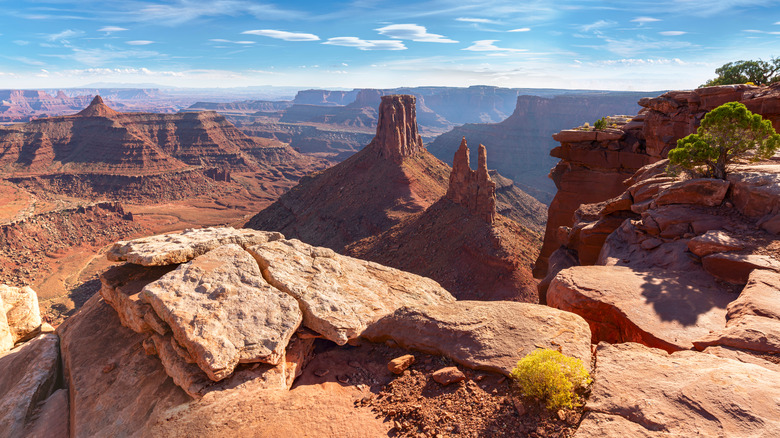 Red rocks at Canyonlands overlook