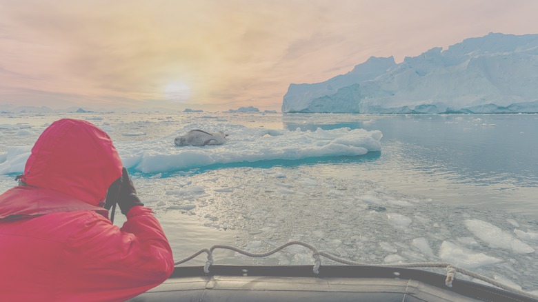 Cruising at sunset in Antarctica