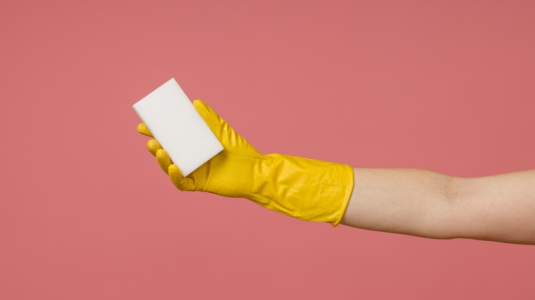 Person holding melamine sponge