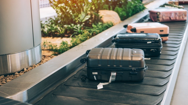 Suitcases on conveyer belt