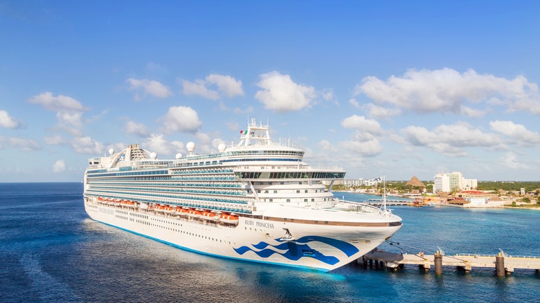 Ruby Princess cruise ship docked in harbor