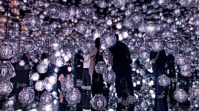 teamLab Borderless Tokyo Bubble Universe